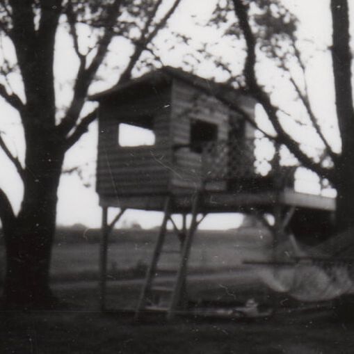 tree house in black and white